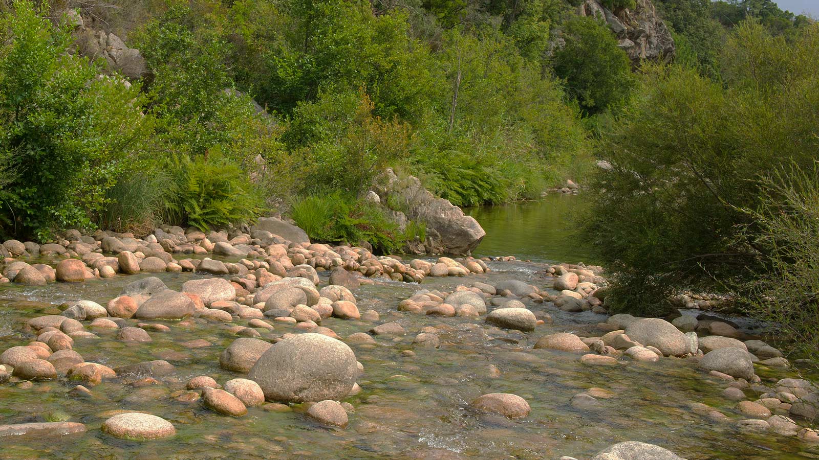 Piscine naturelle Azzana en Corse du Sud